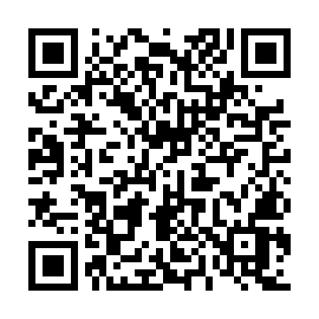 QR code for 401DMV