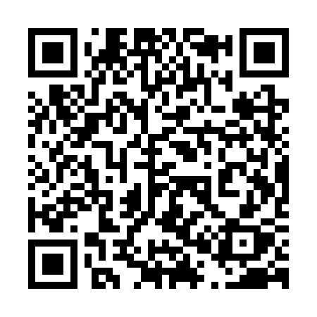 QR code for 401SSX