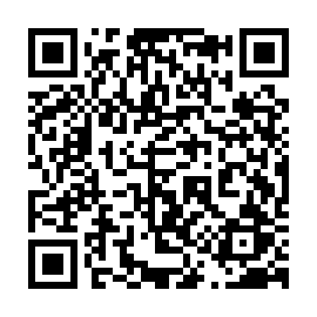 QR code for 411ARR