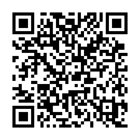 QR code for 411CHI