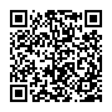QR code for 411DTW
