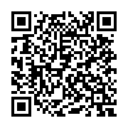 QR code for 411DUN