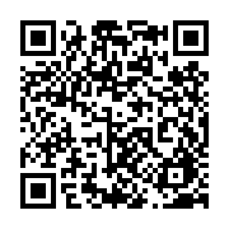 QR code for 411DZG