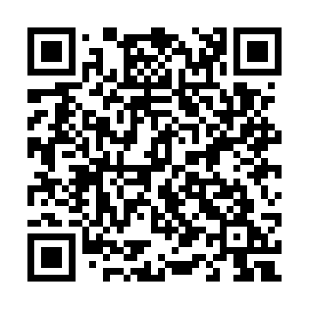 QR code for 411ESG