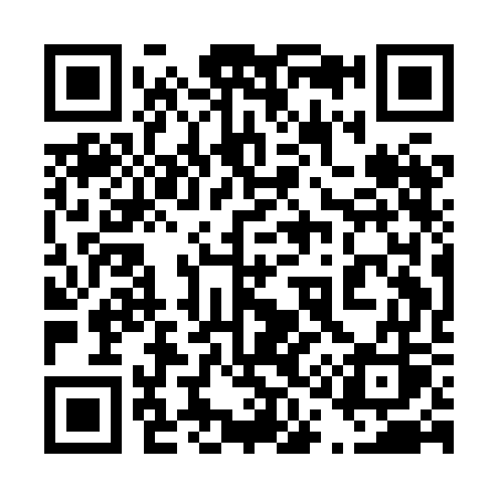 QR code for 411HGS
