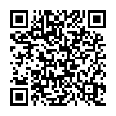 QR code for 411IBV