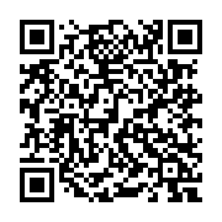QR code for 411MLF