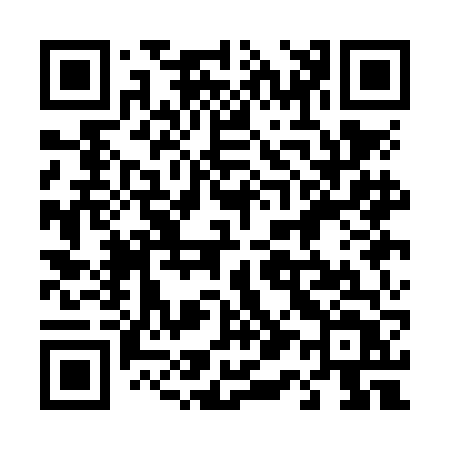 QR code for 411NFT