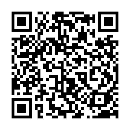 QR code for 411NQI