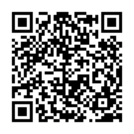 QR code for 411PAV