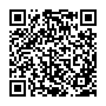 QR code for 411SLD