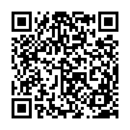 QR code for 411UVN