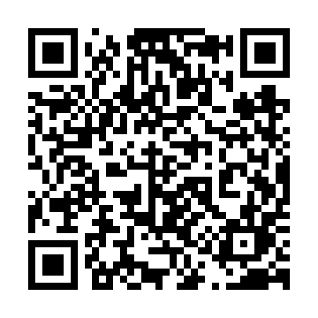 QR code for 411VPL
