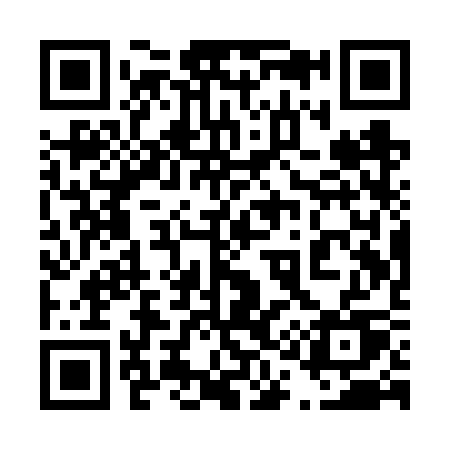 QR code for 411VSU