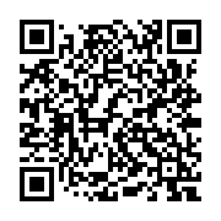 QR code for 411YXJ