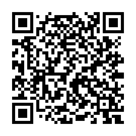 QR code for 411ZLX