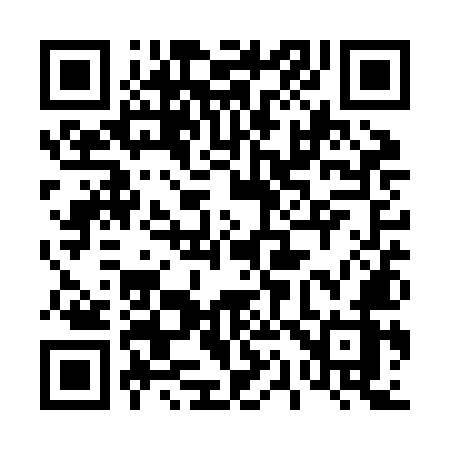 QR code for 411ZMZ