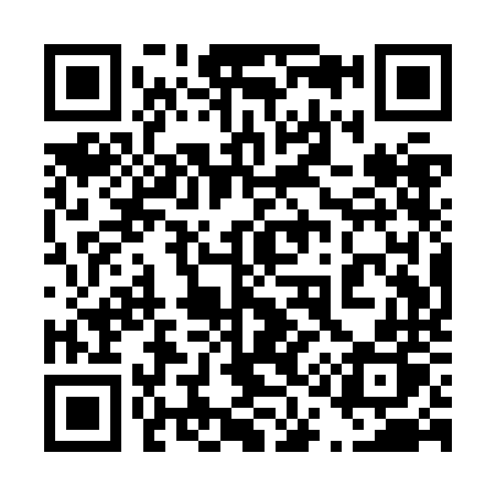 QR code for 411ZNP