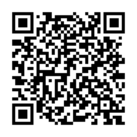 QR code for 413USF