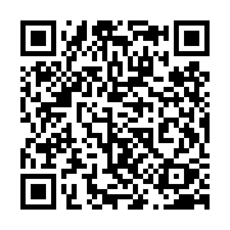 QR code for 419DSY