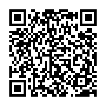 QR code for 419EFS