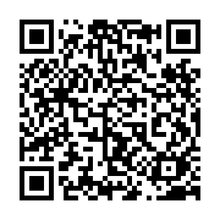 QR code for 419LAM