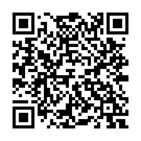QR code for 419PPM