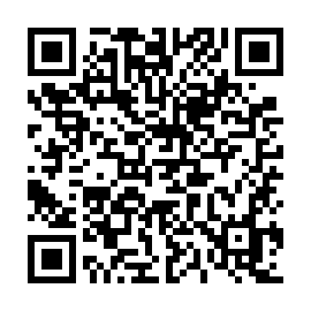 QR code for 419VKO