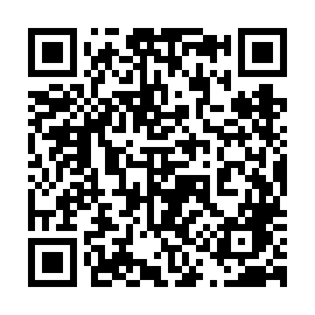 QR code for 419VLG