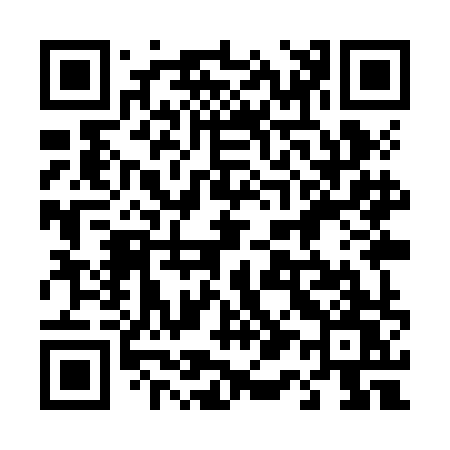 QR code for 419ZHW
