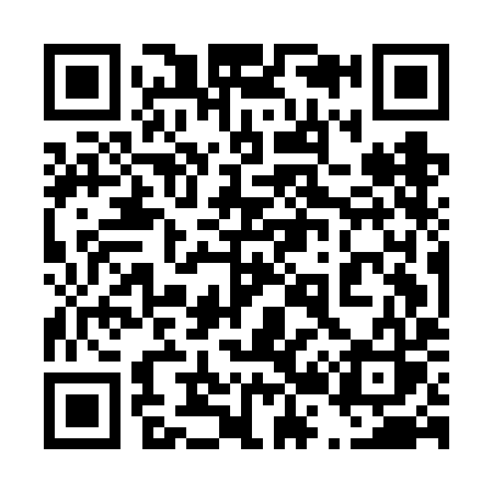 QR code for 425FIS