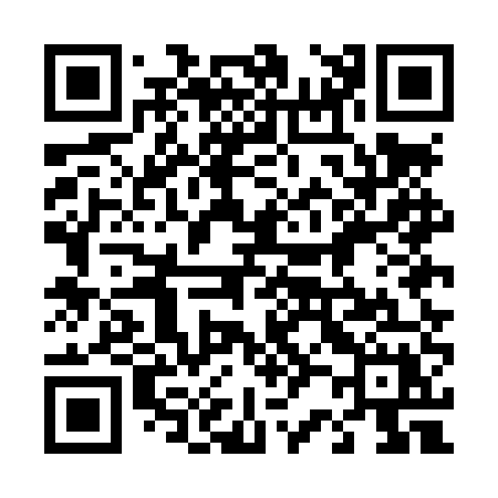 QR code for 425LUX