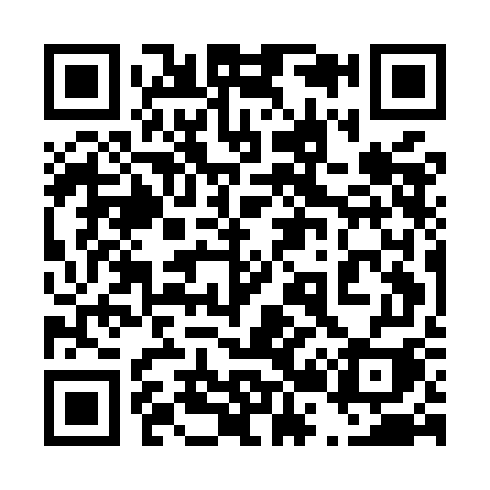 QR code for 425MGI