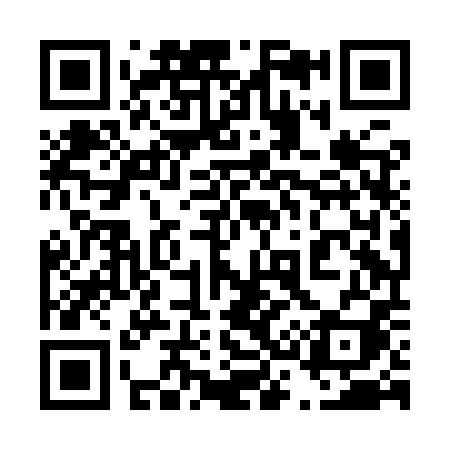 QR code for 438IPI