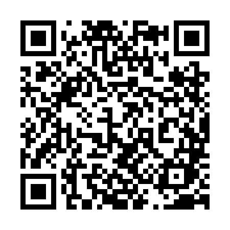 QR code for 438SLM