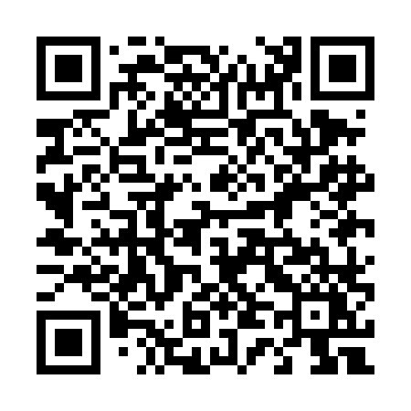 QR code for 441DLY