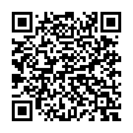 QR code for 441DML