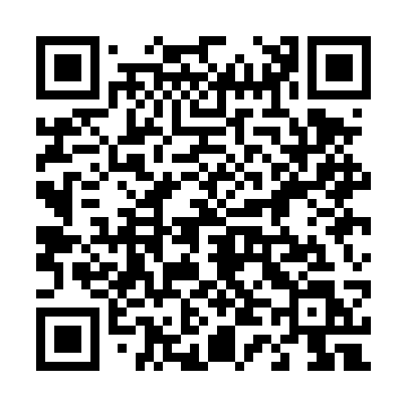QR code for 441DSL