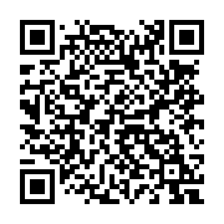 QR code for 441LSM