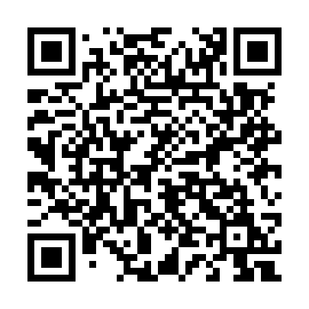 QR code for 441MSM