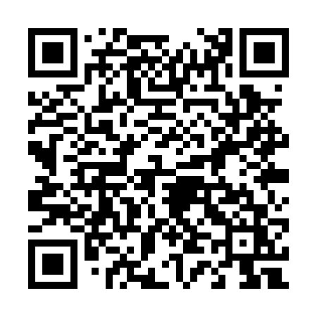 QR code for 441PVZ