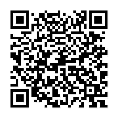 QR code for 446DIS