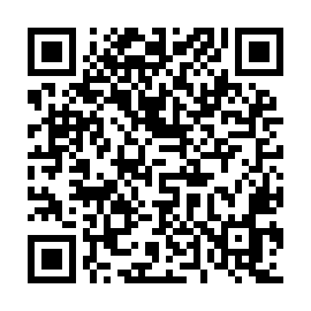 QR code for 446IMO