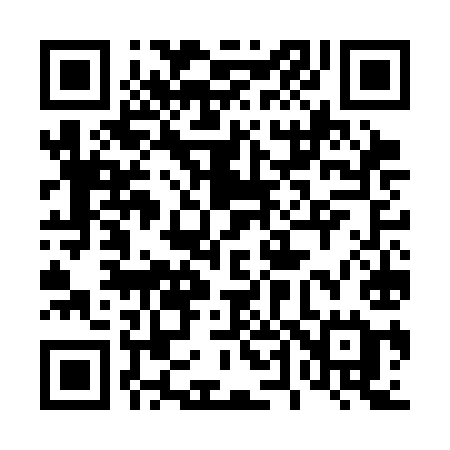 QR code for 447CIE