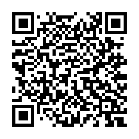 QR code for 447PDT