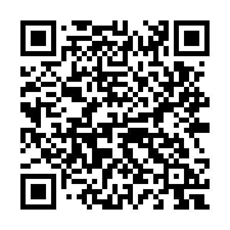 QR code for 449USC