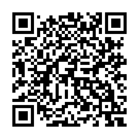 QR code for 450HCO