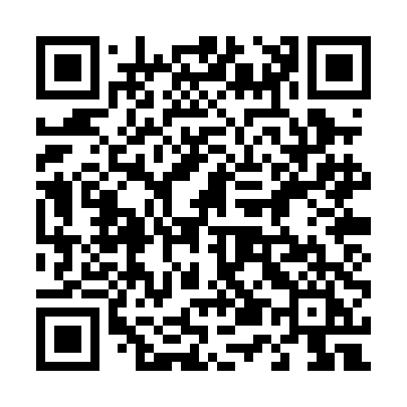 QR code for 450PDI