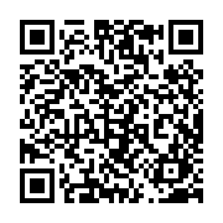 QR code for 450PZL