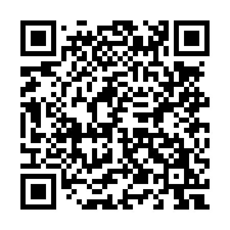 QR code for 453LUO
